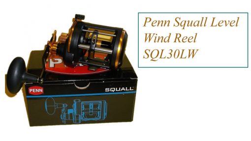 Penn Squall Level Wind Reel Sql30lw Review 2022 Lure Me Fish