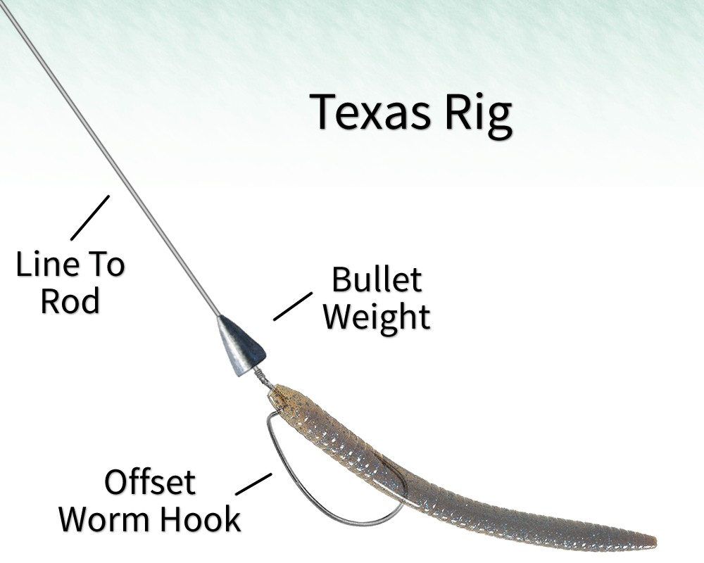 Your Guide To Using Plastic Worms For Bass Fishing Lure Me Fish