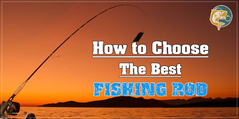 how to choose the best fishing rod