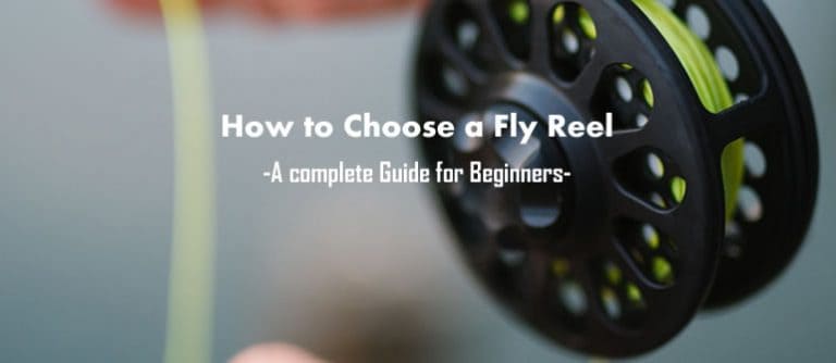 how to choose a fly reel