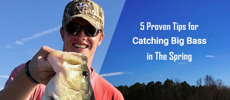 spring bass fishing tips
