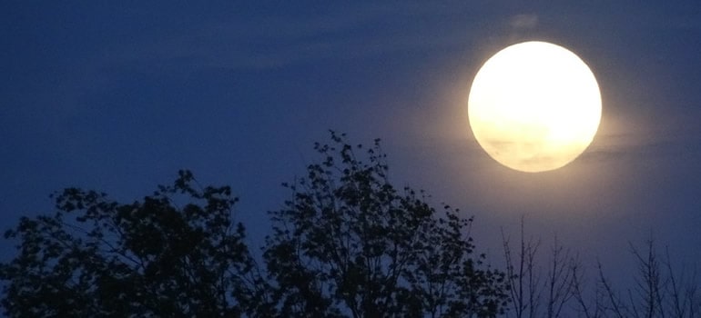 Is a Full Moon Good or Bad for Bass Fishing?