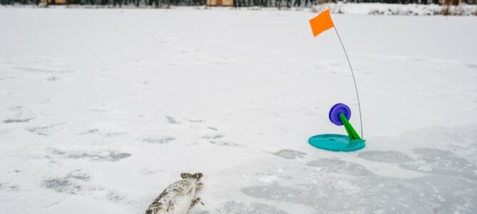 ice fishing tip-up
